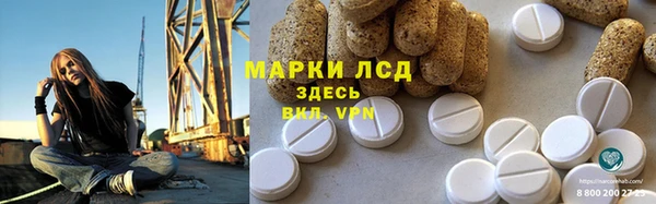 стафф Осинники