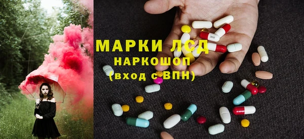 гашик Пестово