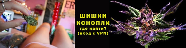 стафф Осинники