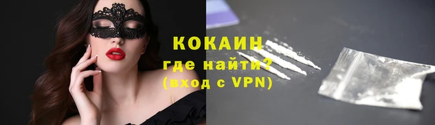 ECSTASY Пересвет