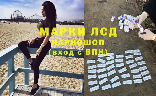 стафф Осинники