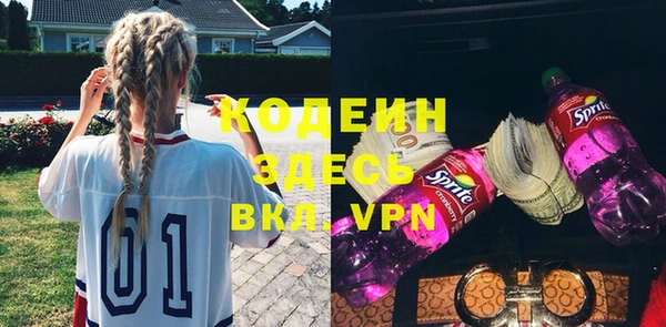 гашик Пестово