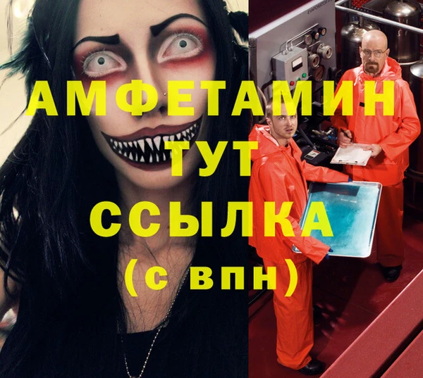 гашик Пестово