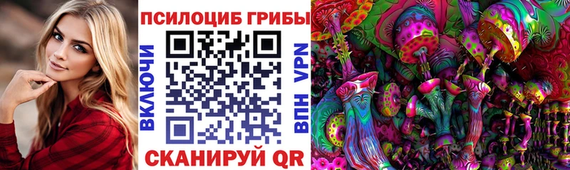 дарк нет какой сайт  Крымск  Псилоцибиновые грибы Magic Shrooms 