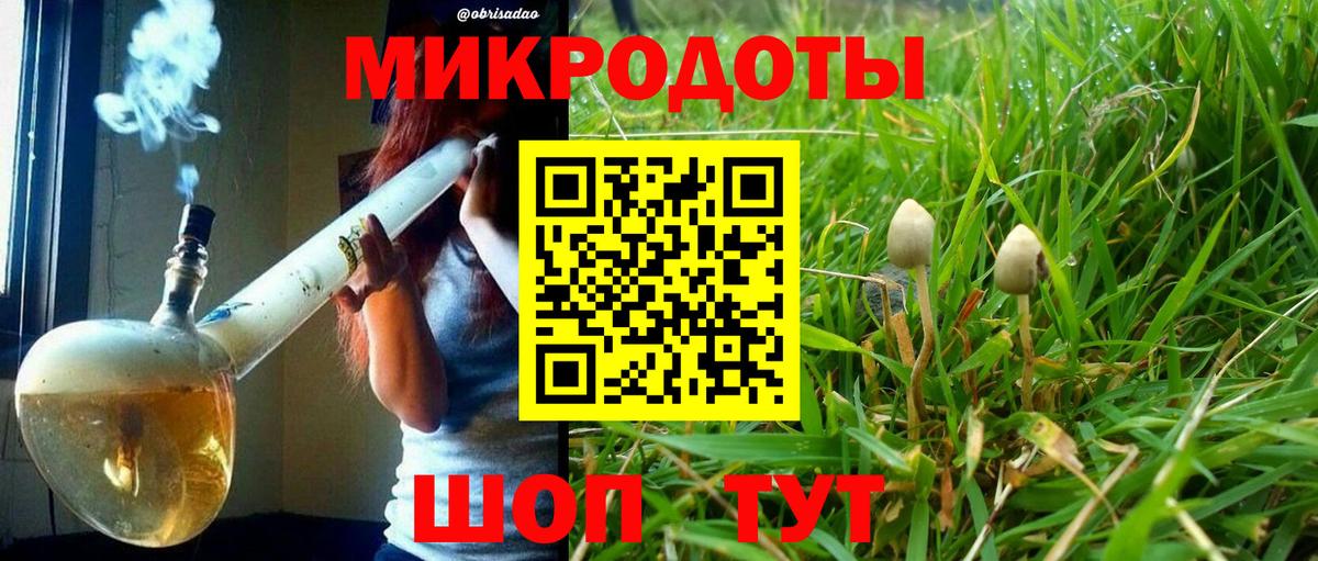 Псилоцибиновые грибы мицелий  где купить наркотик  Крымск  Псилоцибиновые грибы Psilocybe 