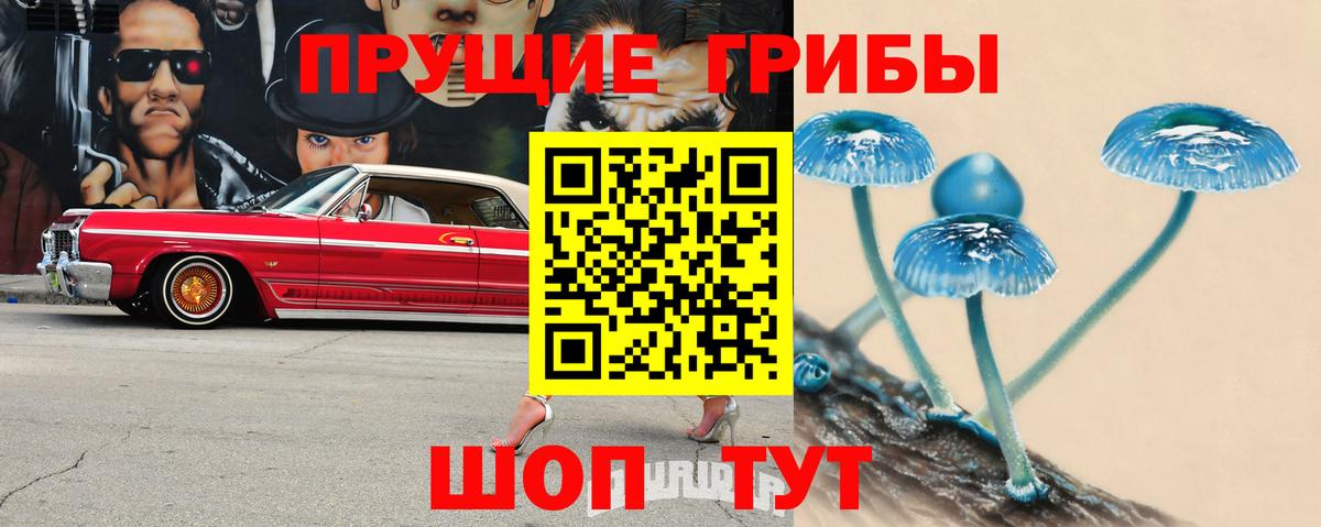 Галлюциногенные грибы Magic Shrooms Крымск